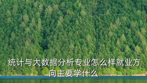  統(tǒng)計(jì)與大數(shù)據(jù)分析專業(yè)怎么樣就業(yè)方向主要學(xué)什么