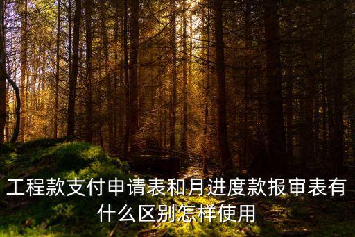 工程款支付申請表和月進(jìn)度款報(bào)審表有什么區(qū)別怎樣使用