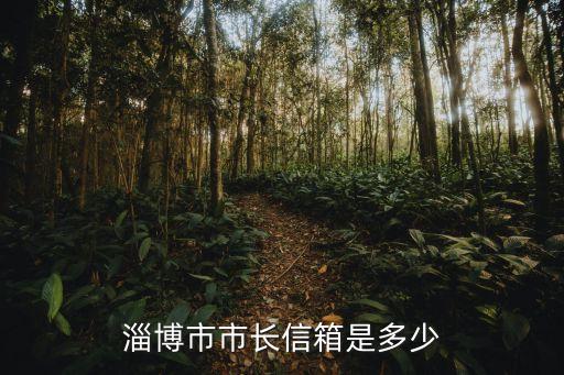 淄博市市長信箱是多少