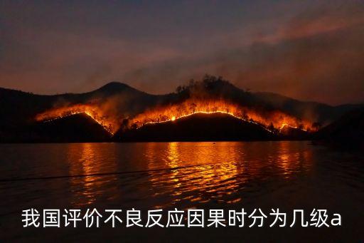 我國評價不良反應因果時分為幾級a