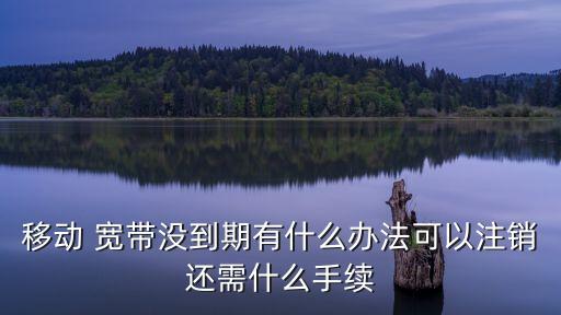 寬帶銷戶怎么辦理,移動寬帶辦理