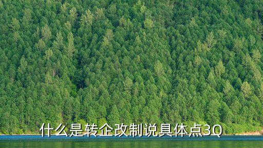 什么是轉(zhuǎn)企改制說(shuō)具體點(diǎn)3Q