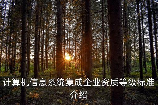 信息技術(shù)服務(wù)合同附件