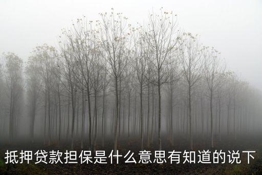 抵押貸款擔(dān)保是什么意思有知道的說(shuō)下