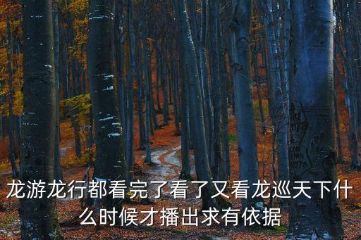 張樂群，電視連續(xù)劇龍游天下會(huì)有續(xù)集嗎可能性大嗎