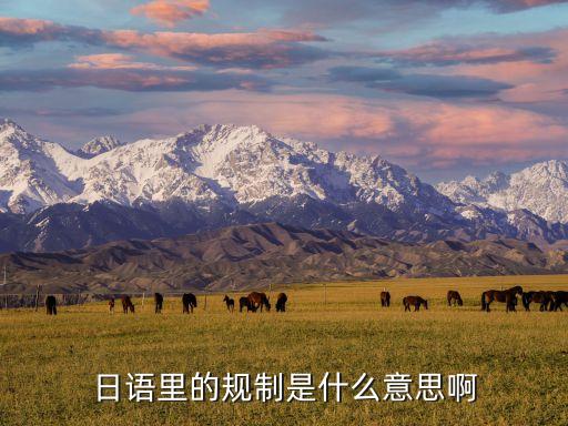 規(guī)制是什么意思，規(guī)制的侓組詞