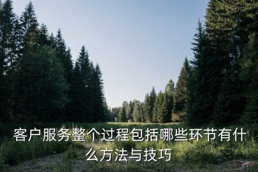  客戶服務(wù)整個(gè)過程包括哪些環(huán)節(jié)有什么方法與技巧