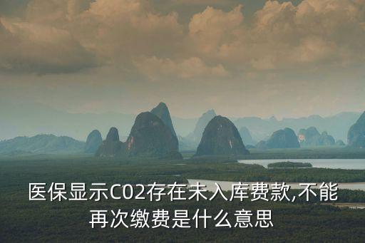 醫(yī)保顯示C02存在未入庫費(fèi)款,不能再次繳費(fèi)是什么意思