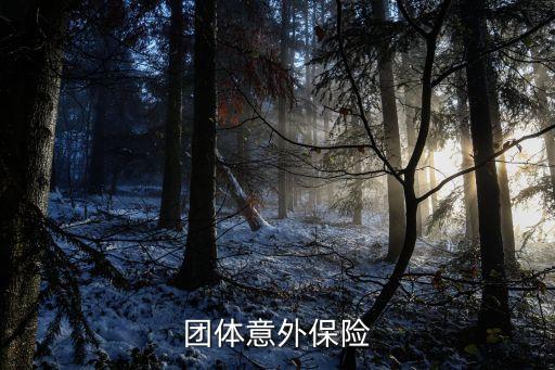 團(tuán)體意外保險(xiǎn)