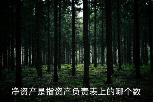 凈資產(chǎn)是指資產(chǎn)負責表上的哪個數(shù)