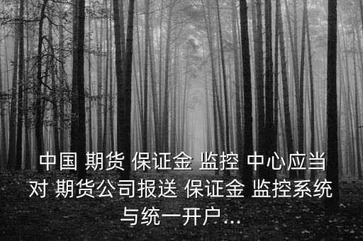 期貨保證金監(jiān)控中心,中國(guó)期貨保證金監(jiān)控中心