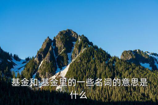 價(jià)值型基金,易方達(dá)價(jià)值型基金