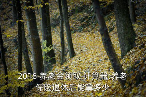 2016 養(yǎng)老金領(lǐng)取 計算器:養(yǎng)老保險退休后能拿多少