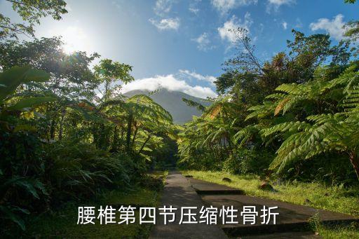 腰椎第四節(jié)壓縮性骨折