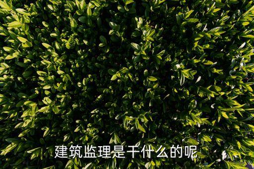 建筑監(jiān)理，建筑監(jiān)理主要做哪些工作