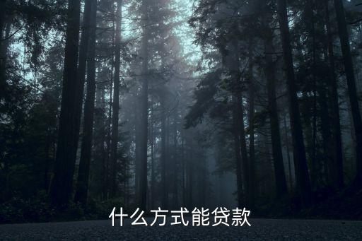 貸款方式，什么方式能貸款