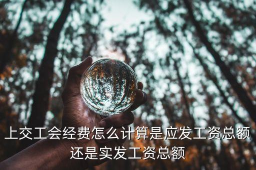工會(huì)經(jīng)費(fèi)怎么算，上交工會(huì)經(jīng)費(fèi)怎么計(jì)算是應(yīng)發(fā)工資總額還是實(shí)發(fā)工資總額