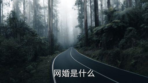 網(wǎng)婚，網(wǎng)婚的概念是什么