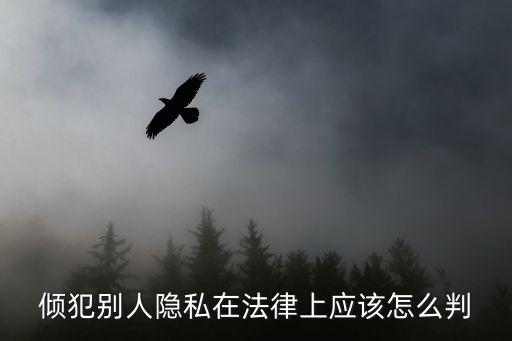 侵犯他人隱私，侵犯他人隱私權(quán) 要負(fù)什么樣的法律責(zé)任