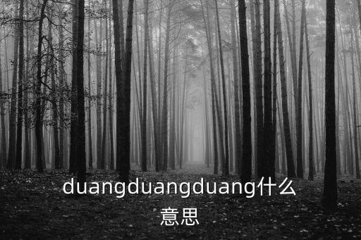 duangduangduang什么意思
