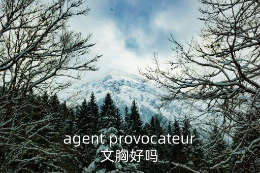 agent provocateur文胸好嗎