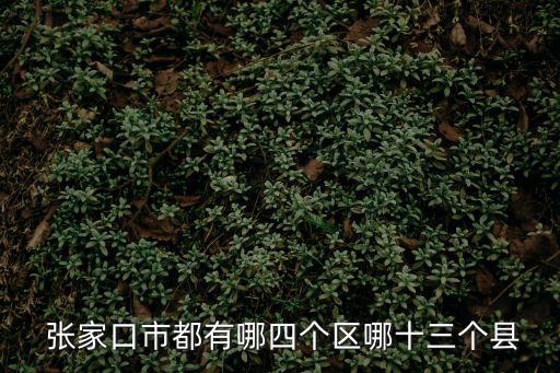  張家口市都有哪四個(gè)區(qū)哪十三個(gè)縣