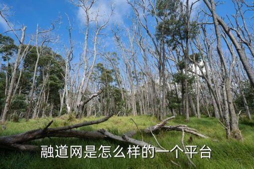 融道網(wǎng)是怎么樣的一個平臺