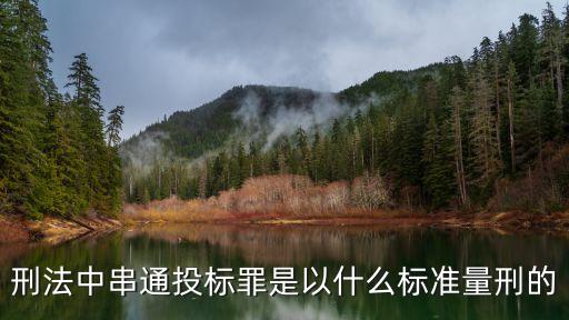 圍標串標罪的立案標準，串通投標罪的處罰標準是什么