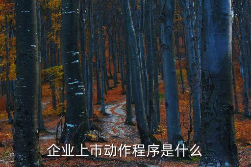 企業(yè)上市動作程序是什么