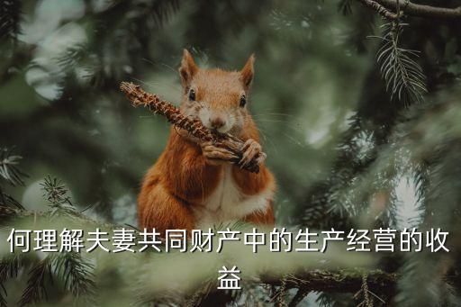 經(jīng)營(yíng)收益，何理解夫妻共同財(cái)產(chǎn)中的生產(chǎn)經(jīng)營(yíng)的收益