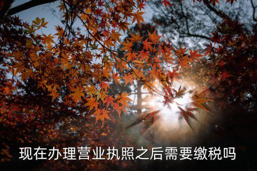 現(xiàn)在辦理營業(yè)執(zhí)照之后需要繳稅嗎