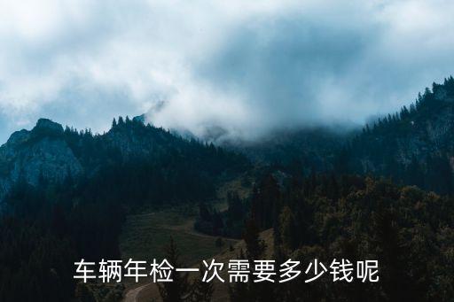 車輛年檢一次需要多少錢呢
