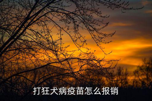 狂犬疫苗怎么報(bào)銷，打狂犬疫苗醫(yī)保能報(bào)銷