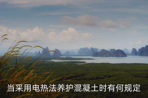 當(dāng)采用電熱法養(yǎng)護(hù)混凝土?xí)r有何規(guī)定