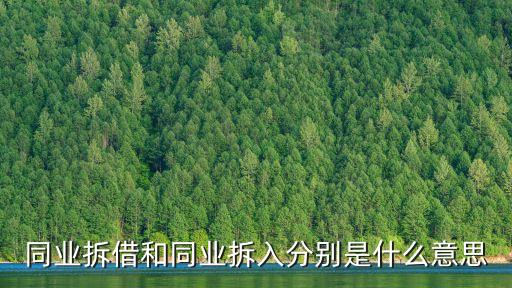 同業(yè)拆借和同業(yè)拆入分別是什么意思