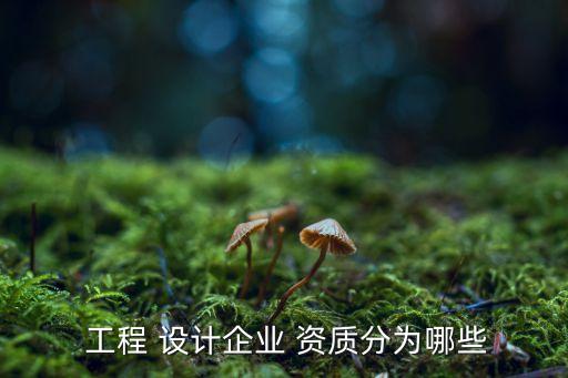 工程設計綜合甲級資質(zhì),建設工程設計資質(zhì)