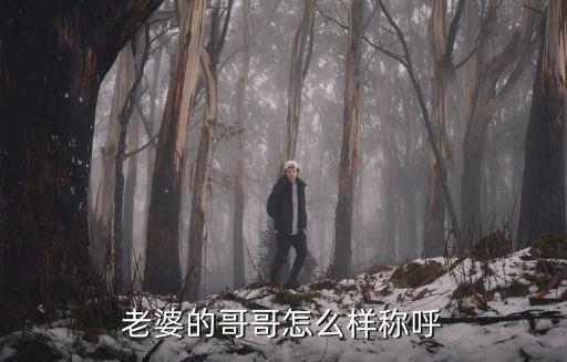 老婆的表哥，我老婆的表哥我應(yīng)該叫他什么