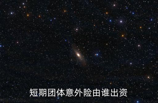團體短期意外險，短期團體意外險由誰出資