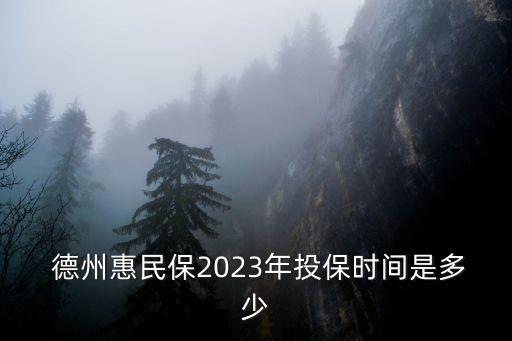 德州保險(xiǎn)