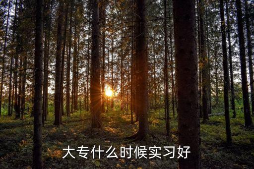 大專(zhuān)什么時(shí)候?qū)嵙?xí)，大學(xué)大專(zhuān)什么時(shí)候可以實(shí)習(xí)