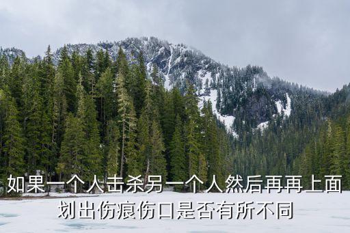 如果一個(gè)人擊殺另一個(gè)人然后再再上面劃出傷痕傷口是否有所不同