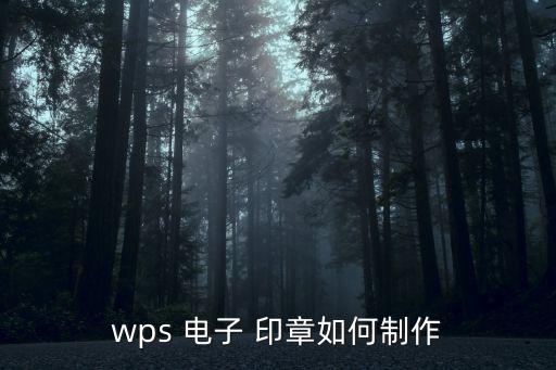 wps 電子 印章如何制作