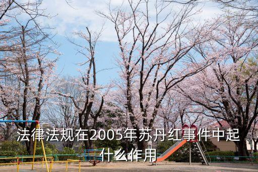 法律法規(guī)在2005年蘇丹紅事件中起什么作用