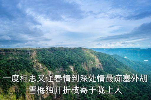 一度相思又逢春情到深處情最癡塞外胡雪梅獨(dú)開(kāi)折枝寄于隴上人