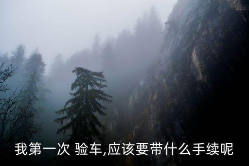 我第一次 驗(yàn)車(chē),應(yīng)該要帶什么手續(xù)呢