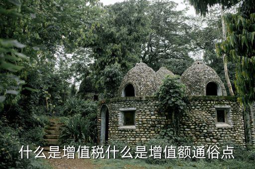 增值額，增值額該怎么理解呢通俗點(diǎn)的好