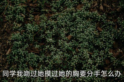 摸同學胸，上完晚自習回家的路上摸了喜歡的女生的胸我想當時我是瘋了后來