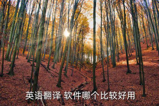 關(guān)于英語(yǔ)的軟件