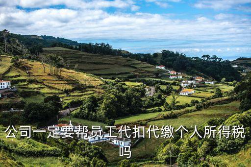 代繳個稅，代扣個人所得稅