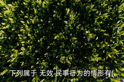 無效民事法律行為有哪些,民事糾紛多少年失效